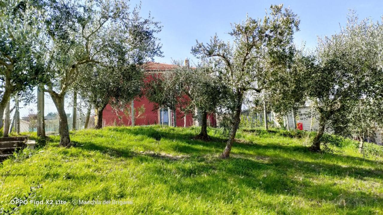 Agriturismo Macchia Dei Briganti - B&B Montefalcione Εξωτερικό φωτογραφία